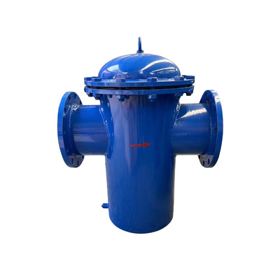 Carbon steel basket filter